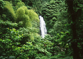 Mother Fall in Dominica