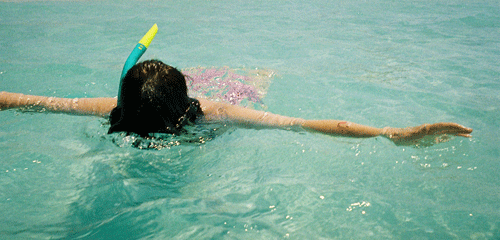 snorkeling in the Caribbean