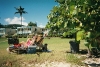 St Thomas - looking for shade