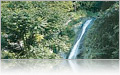 Waterfall - One of the many attractions you see during the Princess Hawaii Cruises