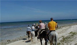 Things to do in Aruba - horseback riding