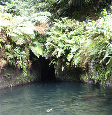 TiTou Gorge in Dominica